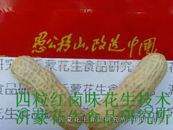 四粒紅鹵味花生技術轉讓全攻略 掌握核心工藝，開啟創業之路